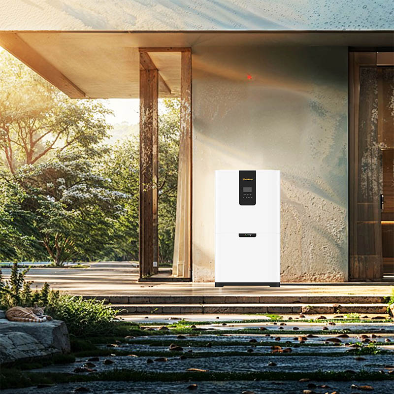 3KW All In One Solar Power System Solar Inverter With Lithium Ion Battery 51.2V 200Ah Power Storage Systems Back Ups Pv Factory