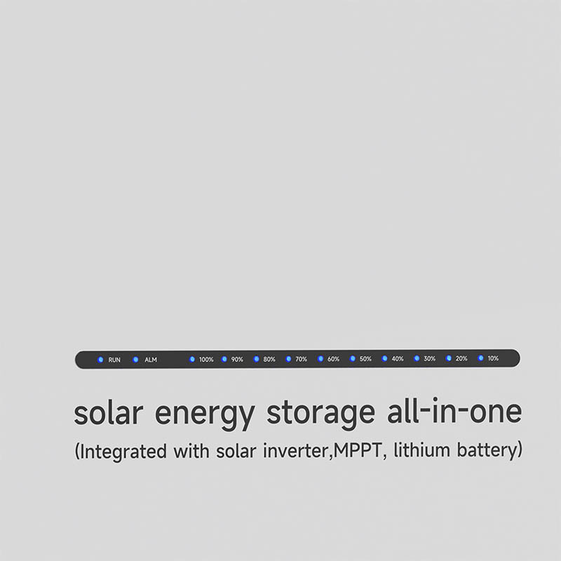 3KW All In One Power System Solar Inverter With Lithium Iron Battery 51.2V 200Ah Power Storage Systems Pv Factor Back Ups